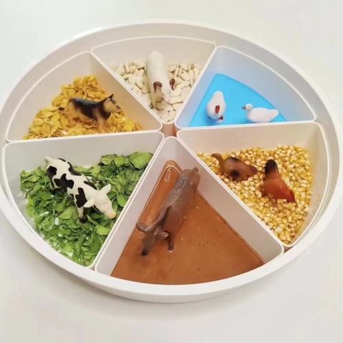 Montessori sensory basin children's sandbox early education game basin small world divided plate kindergarten enlightenment toy teaching aid