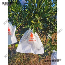 ���ٹ���������̲�֪��̽۴�Ҋ�ҰҸ̼���ˮ���״���ɫ����̫��