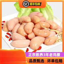 ����S���]�����r�u����ɢ�B���u����С̖�u�I�u���u�����r���l