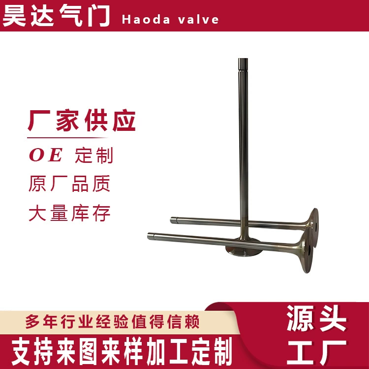 Преимущество производителя спот поставляет впускной клапан 4265695 5973130