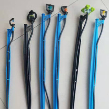 1.5�׵؇�  8��վ���������D�����^���ԇ��� �����F���ز�΢��