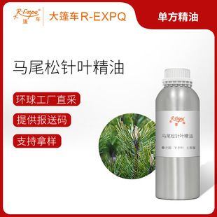 �Rβ����~����Pinus massonianaԭ�����l�����o���{�����܇����