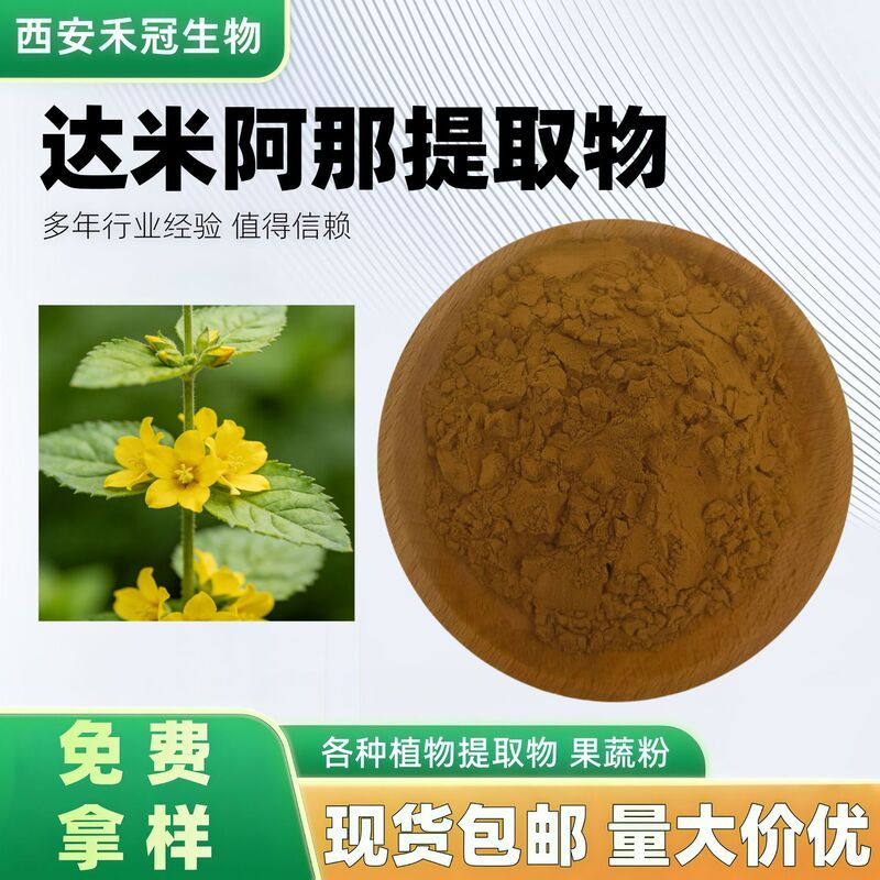 Damiana Extract Water-Soluble Damiana Powder Damiana Herb Brazilian Herb Extract in Stock with Free Shipping Damiana Extract Water-Soluble Damiana Powder Damiana Herb Brazilian Herb Extract in Stock with Free Shipping