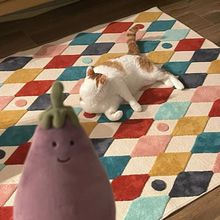 ��ɫ��̺�͏d��̺��ͯ���؉|���ҷ���q��̺��ˮ��ܛë�q��̺