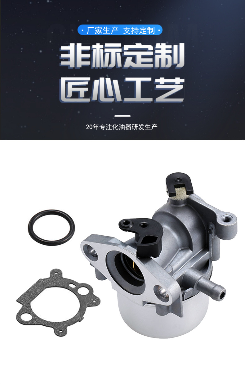 799871 Carburetor for Bs 790845 126m02 799866 796707 Carburetor
