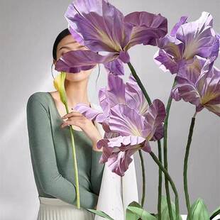 �ֹ��������LEVA·�zӰ������cDP�Sβ���������b�