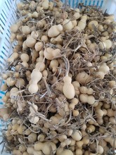 ��Ȼƿ�Ӻ��J���@ָ���J��������Jͨ؛3��.5����