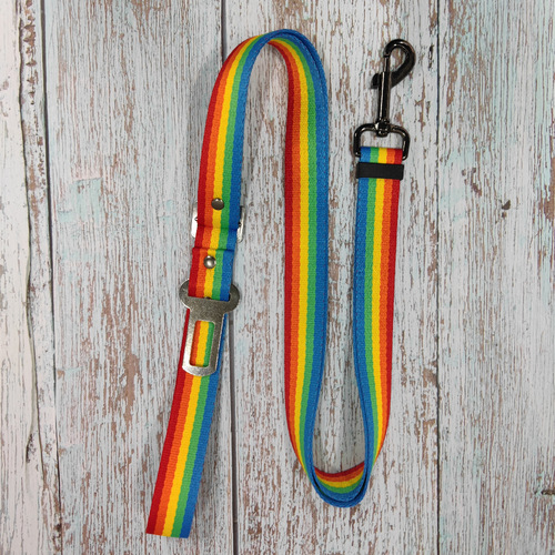 Pet Supplies New Rainbow Pet Leash Multi-functional Colorful Pet Car Safety Belt Set Manufacturer