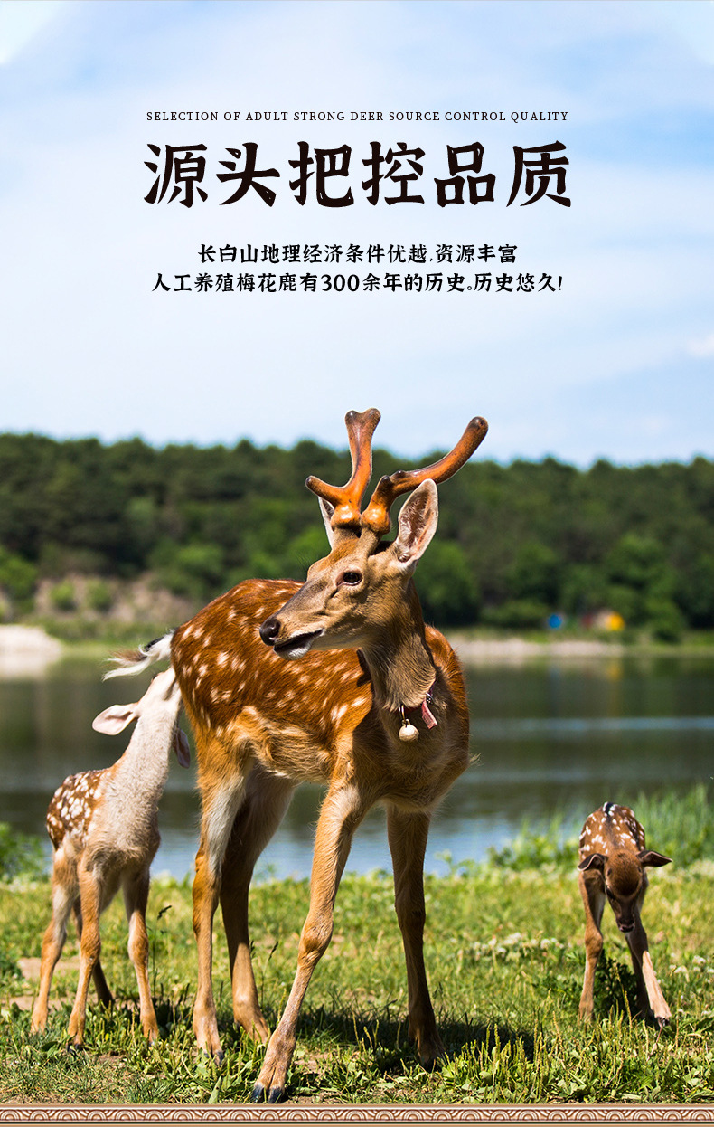 c5238551-6996-4d37-addc-83fdd5