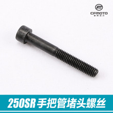 ԭ�S���LĦ��܇250SR�ְѹ�ƽ��K��ˤ���^�ݽzƽ���F��������