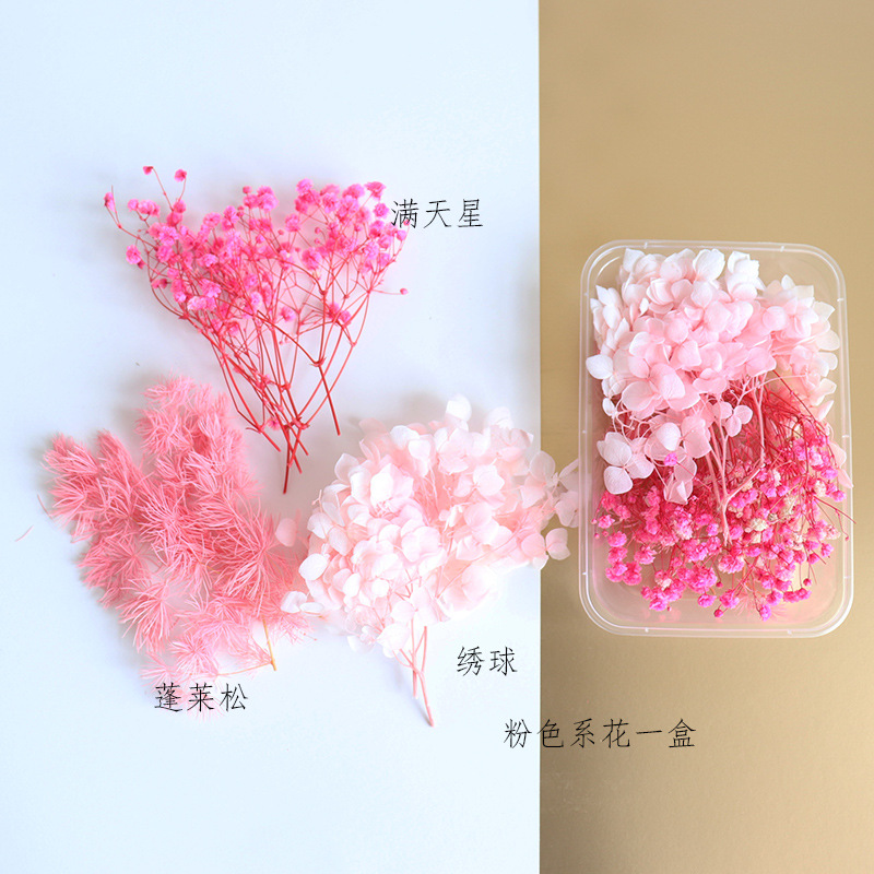 Floating Flower Dried Flower Eternal Flower DIY Epoxy Aromatherapy Candle Photo Frame Kindergarten Handmade A5 Pressure Embossing Material Package