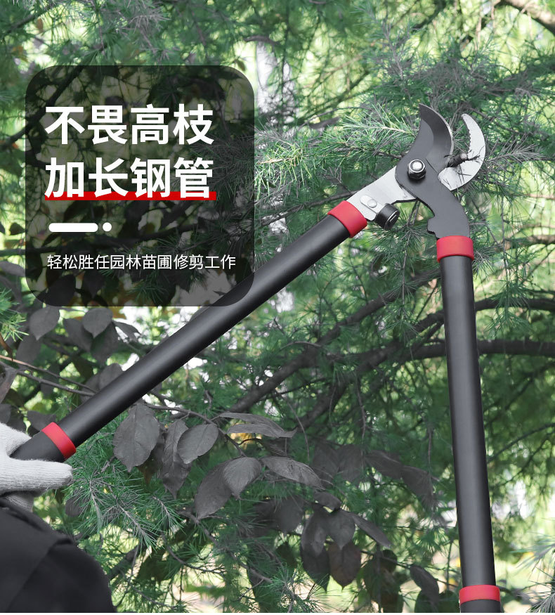 长柄修枝剪树枝剪刀园艺大剪果树修枝修剪树枝园林剪刀强力粗枝剪-阿里巴巴