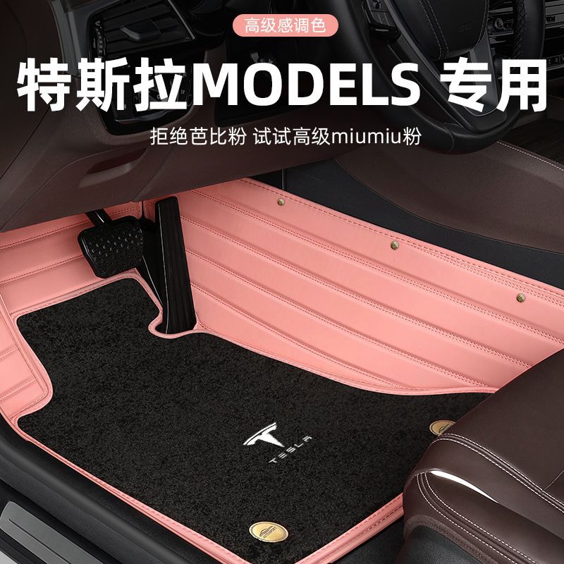 Tesla, doormat, carpet