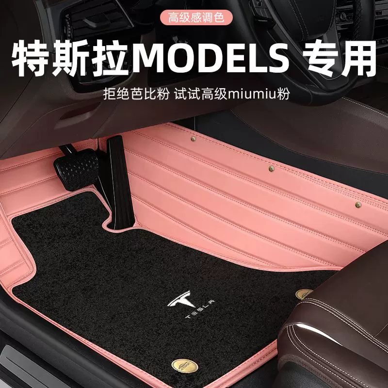 Tesla, doormat, carpet