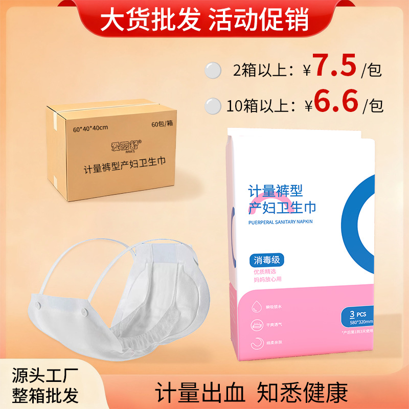 Ailishu Metered Maternity Sanitary Napkin for Pregnant Women, Postpartum and Puerperal Lochia Supplies, Disposable Instant Suction 3 Pieces