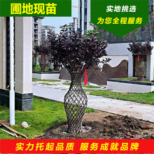 ��ƿ���ͻ������~���ƿ���美�ƺ��J���͘��_ԭ���~�����^�p��