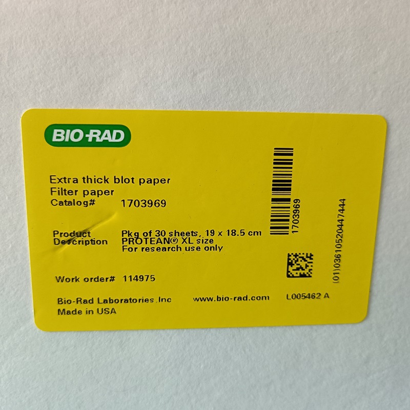 Bio-Rad伯乐1703969超厚转印滤纸19x18.5cm 30张/包