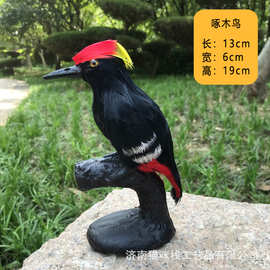 仿真啄木鸟动物摆件 真羽毛鸟 纯手工工艺品 园林装饰品