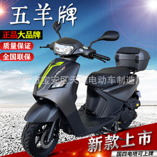 全新新款上市正品五羊牌巧格125CC燃油省油踏板外卖摩托车可上牌