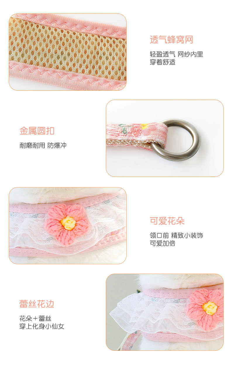 狗详情1_03.jpg