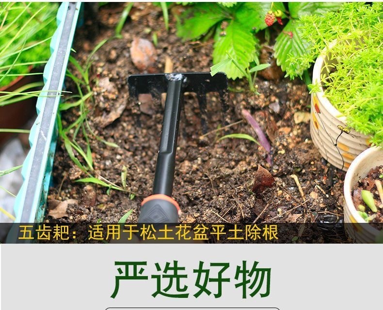 fee4b5f4-741e-4436-a77c-3755e3a79c8e.jpe