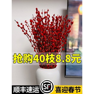 Silver Willow Real Flowers, Fresh Branches, Hug Bucket, Festive New Year's Eve Flower Potted Indoor Red Dried Flower Hydroponic Plant Snow Willow