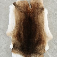 天然整张獭兔毛皮高端服饰装饰面料家居装饰收藏摆件