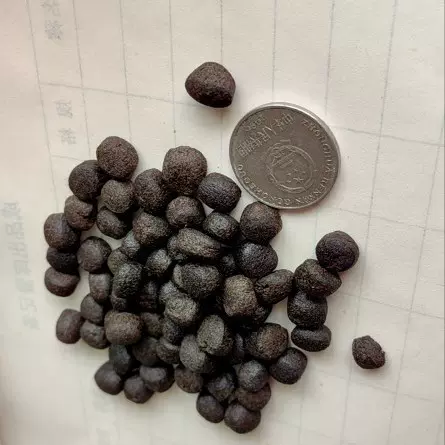 配合饲料1-5号鱼苗幼鱼颗粒热带鱼食饵料粮热带鱼专用锦鲤不浑水