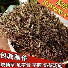 仙草干仙草冻黑凉粉草粿草汁正宗仙人粄草龟苓膏烧仙草 新鲜草干
