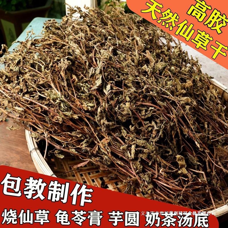 仙草干仙草冻黑凉粉草粿草汁正宗仙人粄草龟苓膏烧仙草 新鲜草干