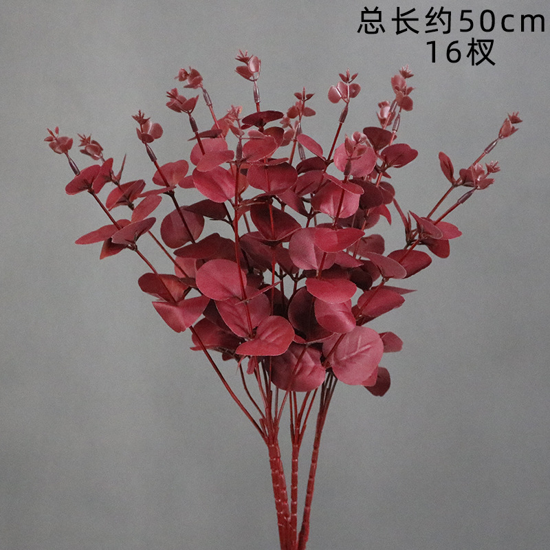 진홍색 유칼립투스 가지