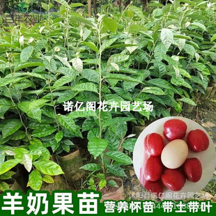 ���̹������ش���μ޽�������̖���j�����̹�������Ԯ���Y��