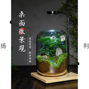 ����΢���^����֮�����Bƿ���������k���ҾGֲ��Ʒ�辰���B����̦