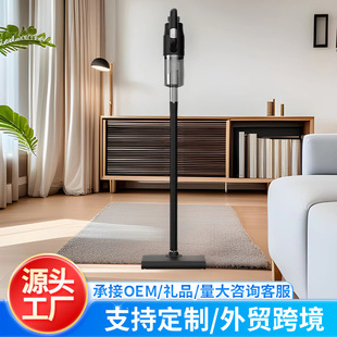 Pet Vacuum Cleaner Source Factory Cross-Border Specializes in Ultra-Powerful Suction High-Power Household Wired Handheld Three-In-One
