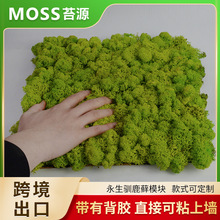 ����̦�\�Z¹̦�\������°װl�\������ȼ¹���\��������̦�Gֲ��