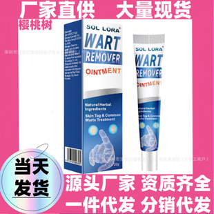 SOL LORA����վ����� �z�����u�����wƽ��� ֲ����ȡ��ˮ�c���