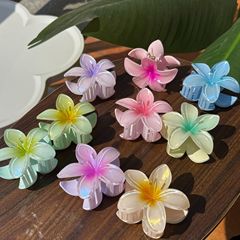新しい春夏の卵の花のゼリー感の髪は清新で甘いです。
