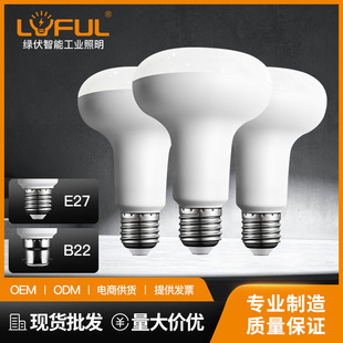 �S�����l Ģ��R�� �ܰ��X E14�ݿ� R63 9W12W �҃ȹ�Դ LEDĢ����