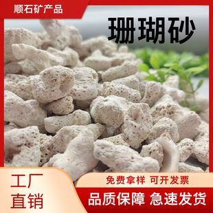 Manufacturer's Ready Supply of Coral Sand, Water Treatment, Fish Tank Landscaping, Aquarium Filtration, Coral Stone, Coral Bone