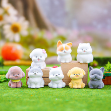 ��Ʒ�ɐ���ȮС�������ֲ�q�[����ͯ����С����С�Y��S��ֱ�N