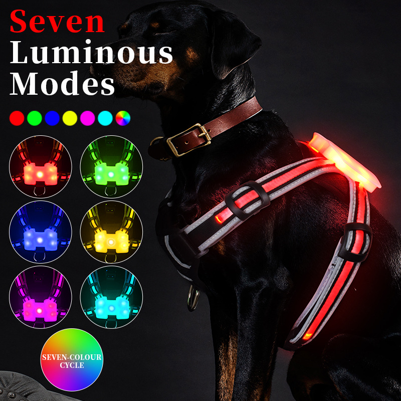 Gilet lumineux rechargeable pour animaux de compagnie, harnais et laisse universels anti-explosion pour chien_voghion.com