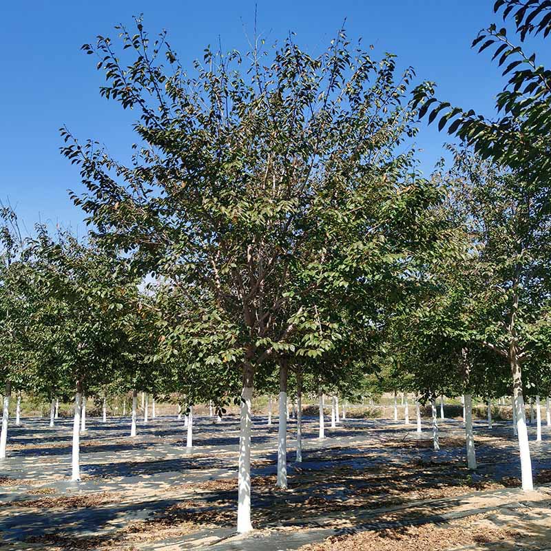 IMG_20221013_110311 副本.jpg