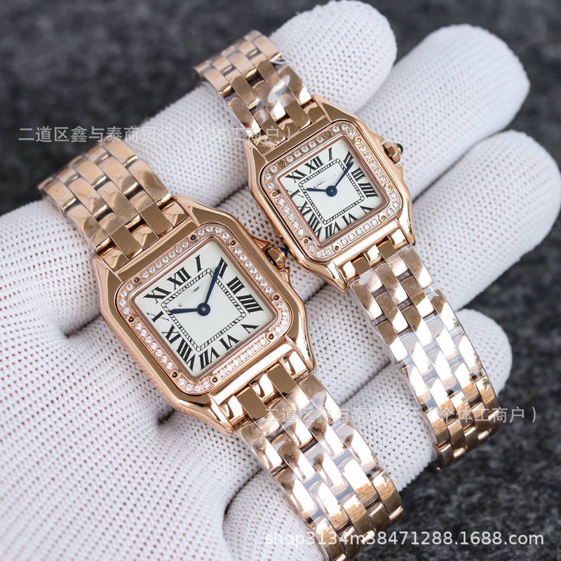 Cross-Border Cheetah Women's Watch Square Dial Roman Numeral Face Fashionable Temperament Light Luxury Waterproof Quartz Watch