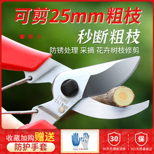 ���Lħ�������֦�Q��֦����֦���会֦�޼�@ˇ��֦������~ѿ��
