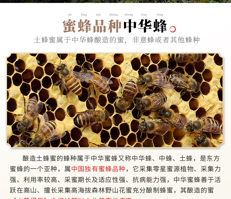 O1CN01dfdzxU1PSJ9W1sp8v_!!2213433371839-0-cib.jpg?__r__=1665814160180