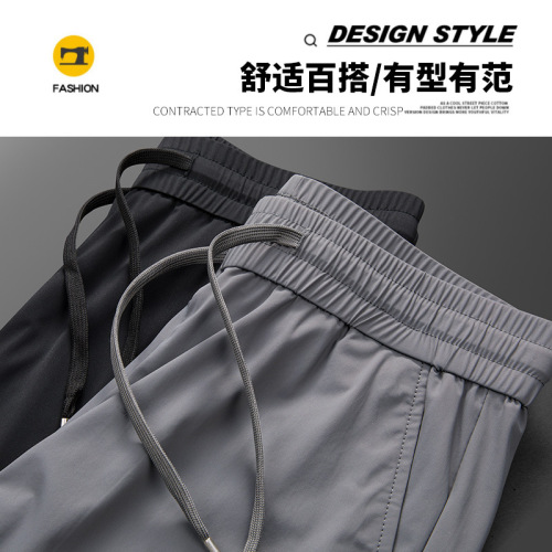 Men's Casual Straight Leg Pants with Elastic Waist 2025 Summer New Milk Silk Ice Silk Men's Pants
