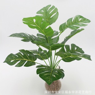 �S�ҹ���12�^�������~����ֲ��廨ֲ����~�Gֲ�辰ֲ�������