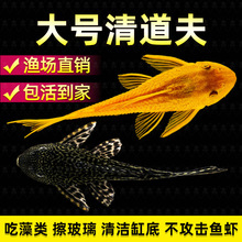 �~��������坍�����匣��ʺ�����S����������D�Ꭷ��ˮ�^�p�~