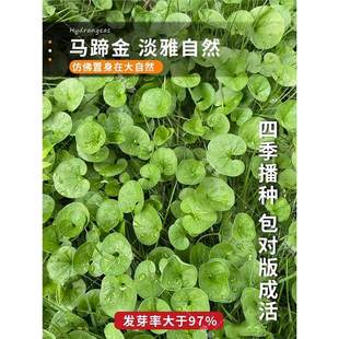 �²��R���ݷN�� �l ��ƺ�N�Ӳ��� �R���e�����X�� �~�X�ݷN��