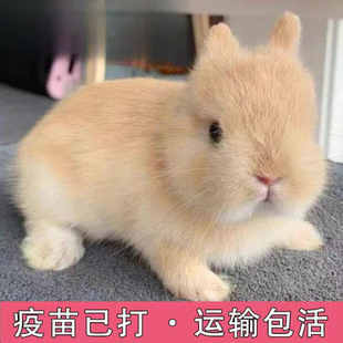 С���ӻ���٪�����L��������С�͹������m�����ò豭�ü��B������